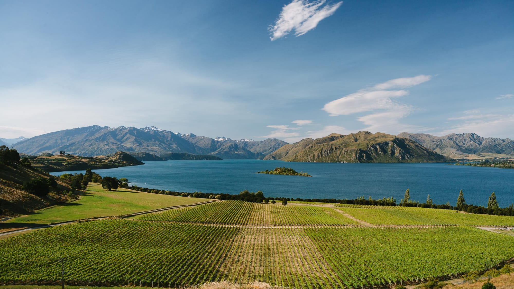 Rippon (New Zealand)