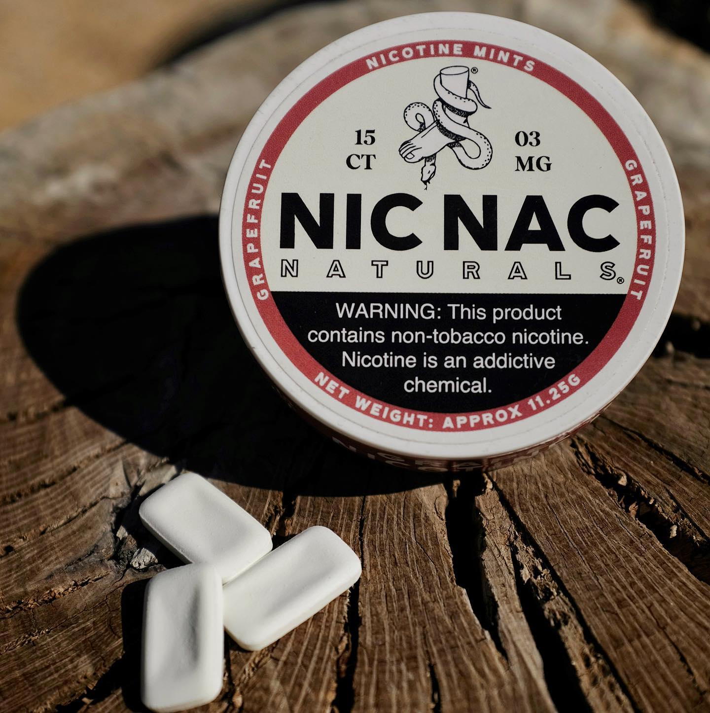 Reimagining Nicotine: A Conversation with Co-Founder of Nic Nac –  Causeartist