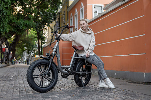 Velowave PRADO S COMMUTER EBIKE