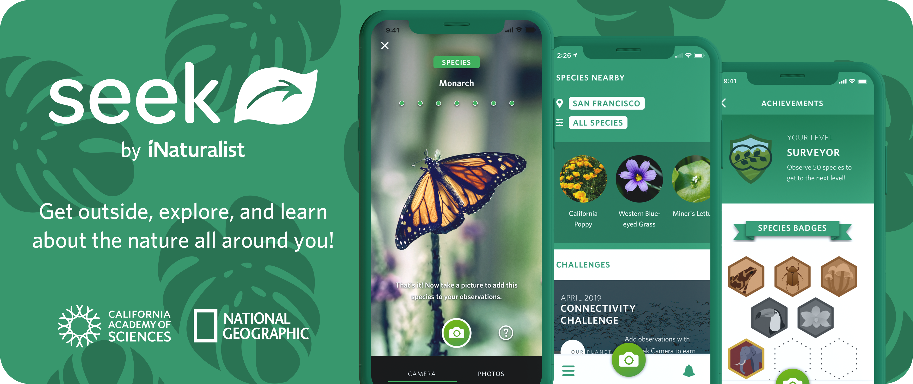 Seek by iNaturalist