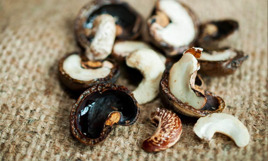 4 East Bali Cashews_social enterprise