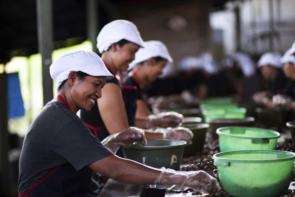 5 East Bali Cashews_socialimpact