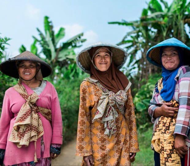 Java Mountain Coffee_socialgood