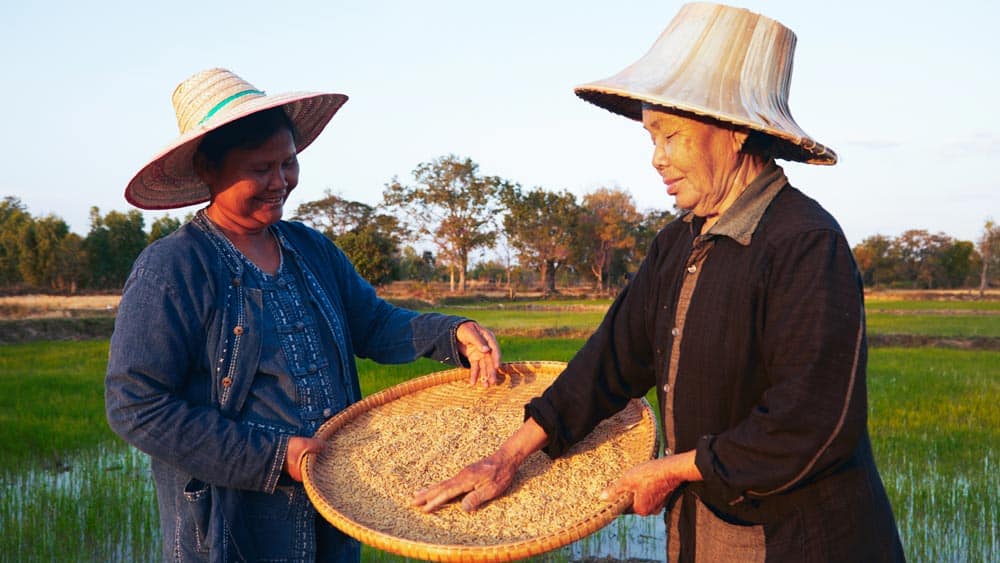 Siam Organic_socialenterprise