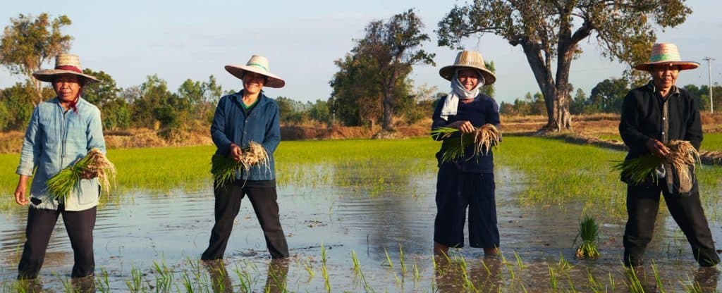 Siam Organic_socialimpact
