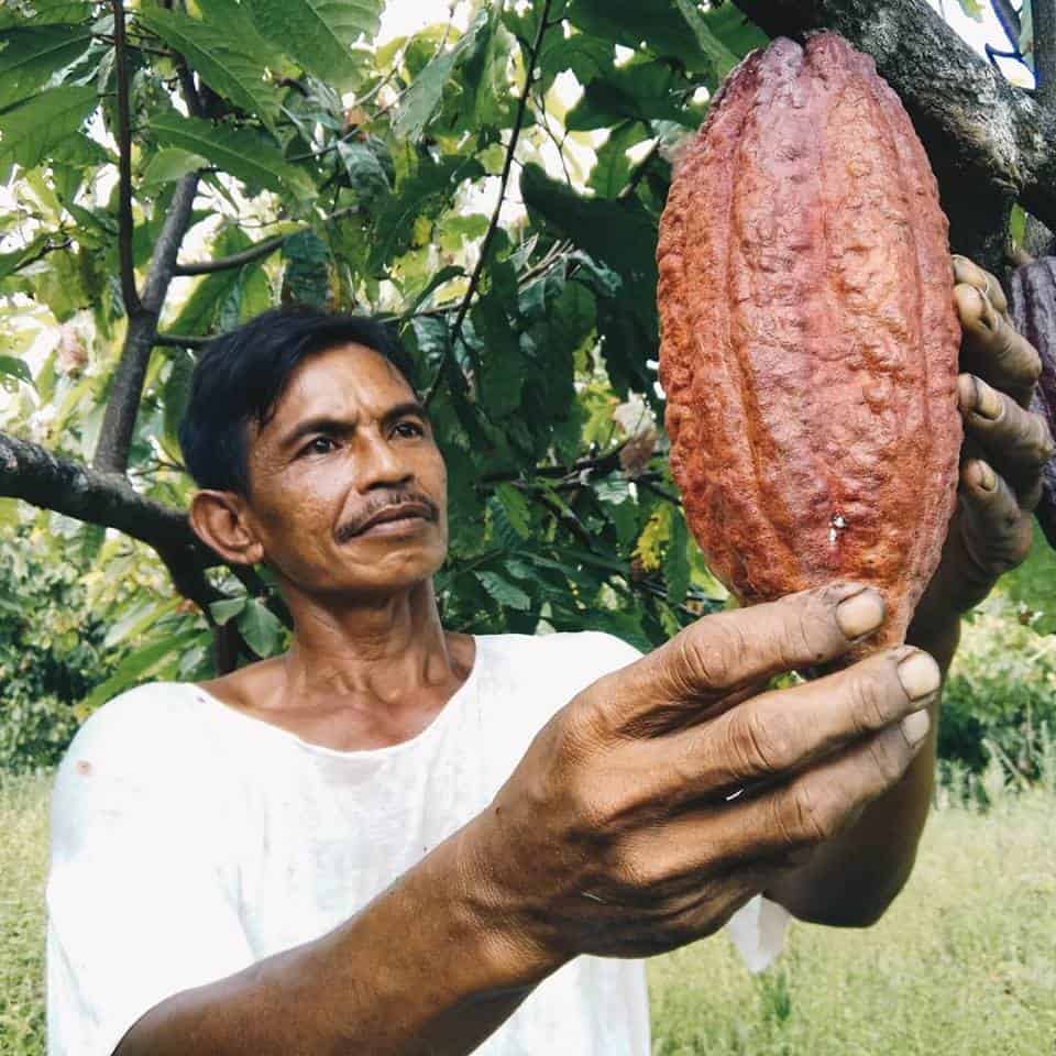 Taufik, Krakakoa’s lead farmer in Tanjung Rejo