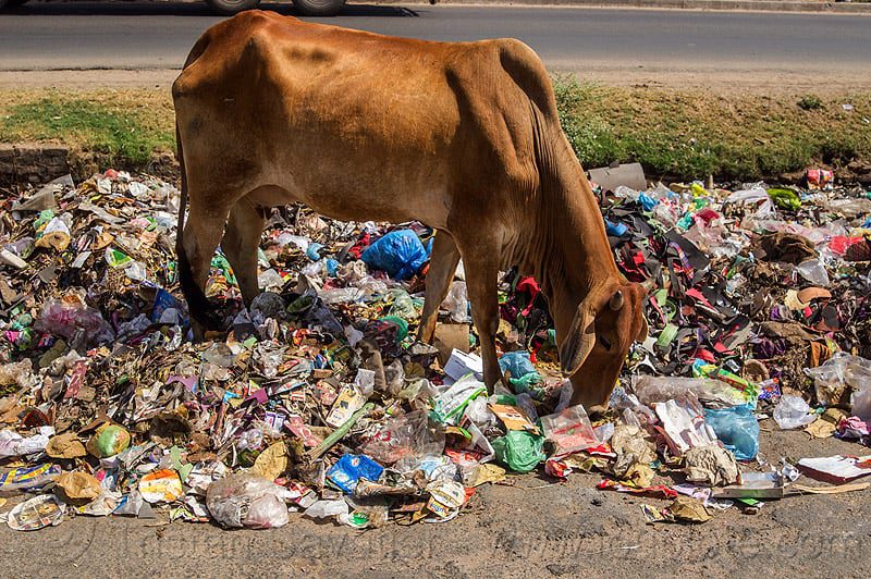 sustainable alternatives to plastic bags