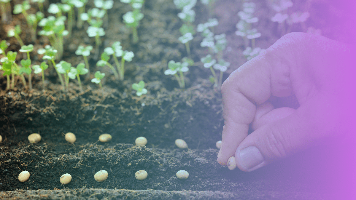 Inari Raises $124M for AI-Powered Seed Design Technology – Causeartist