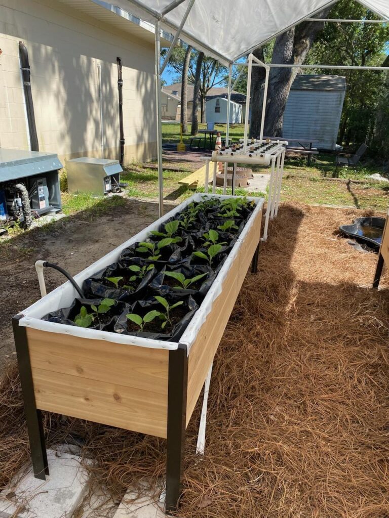 Recirculating Farms