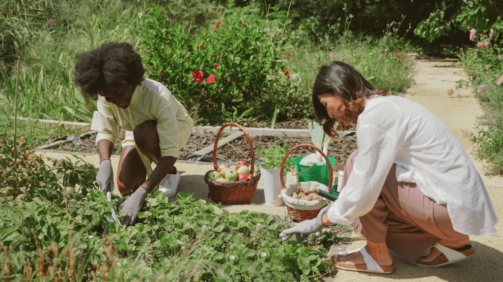Community-Based Tourism